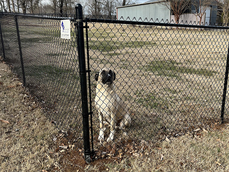 Chain Link fence solutions for the Murfreesboro Tennessee area